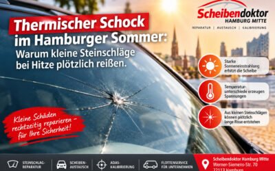 Thermischer Schock im Hamburger Sommer: Warum kleine Steinschläge bei Hitze plötzlich reißen